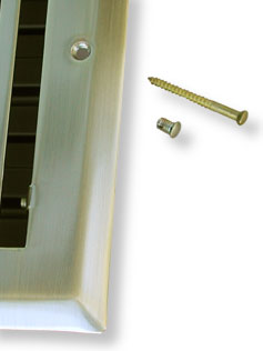 plug and screw detail